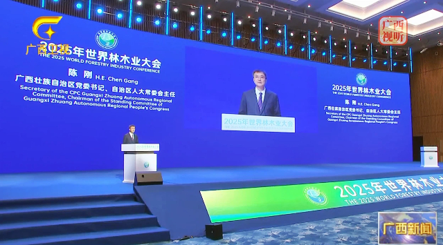 1763946652180555.jpg 640陈刚.jpg